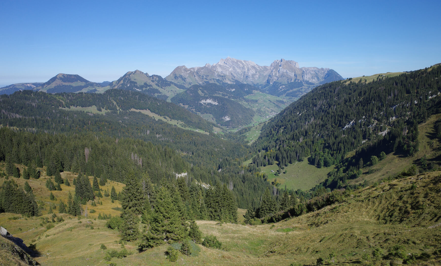 Leistbach