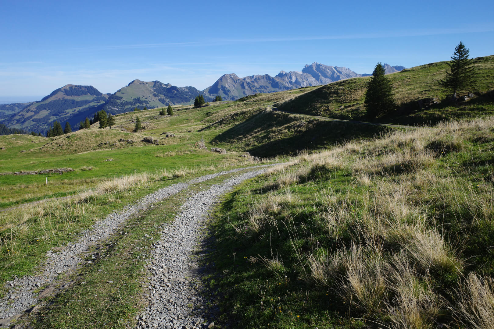 Spazierweg Toggenburg