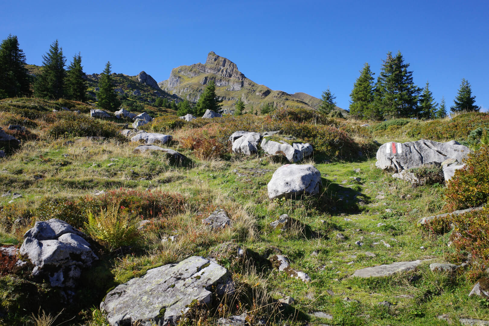 Toggenburger Höhenweg