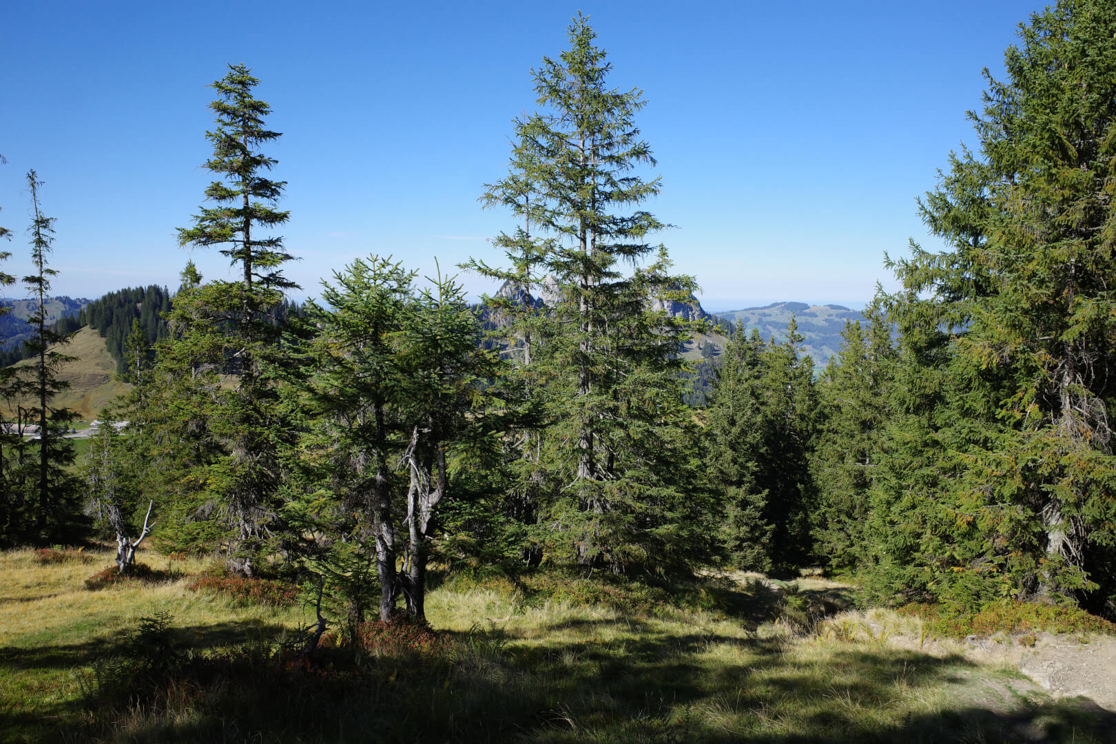 Wanderung Fügenspitz