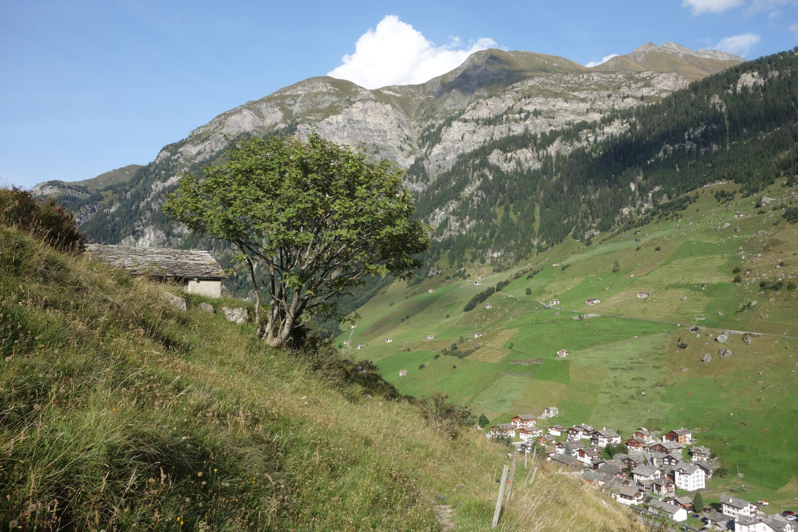 Wanderweg oberhalb von Vals