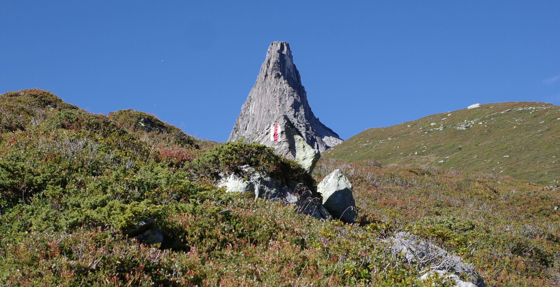 Bergweg mit Zervreilahorn