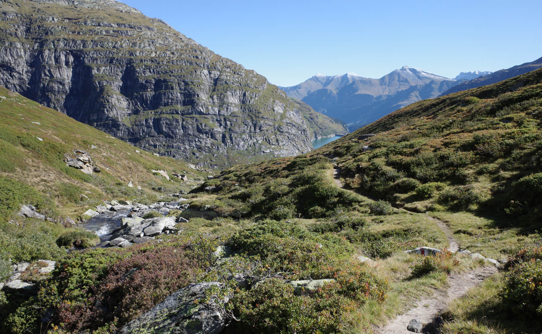 Wanderweg durch Blaubeeren