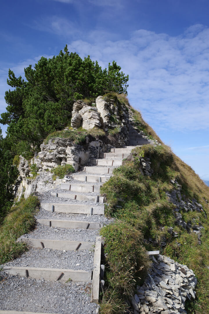 Ausgebauter Wanderweg