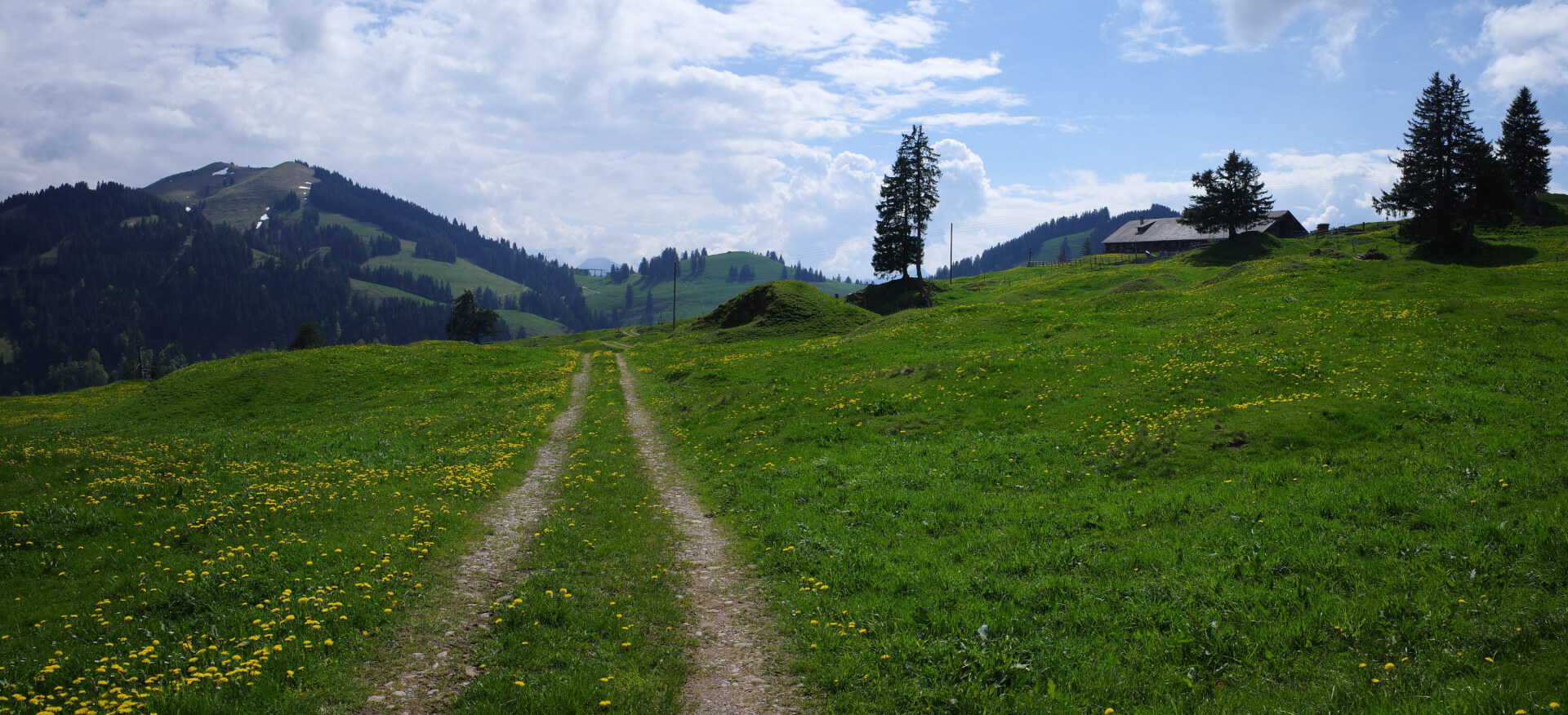 Alp Schwändi
