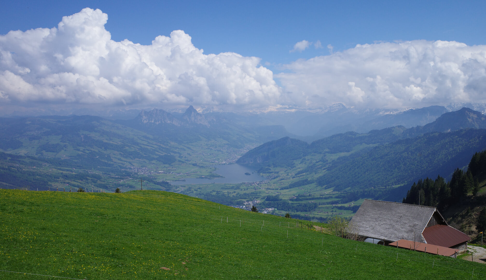 Alp Zingel