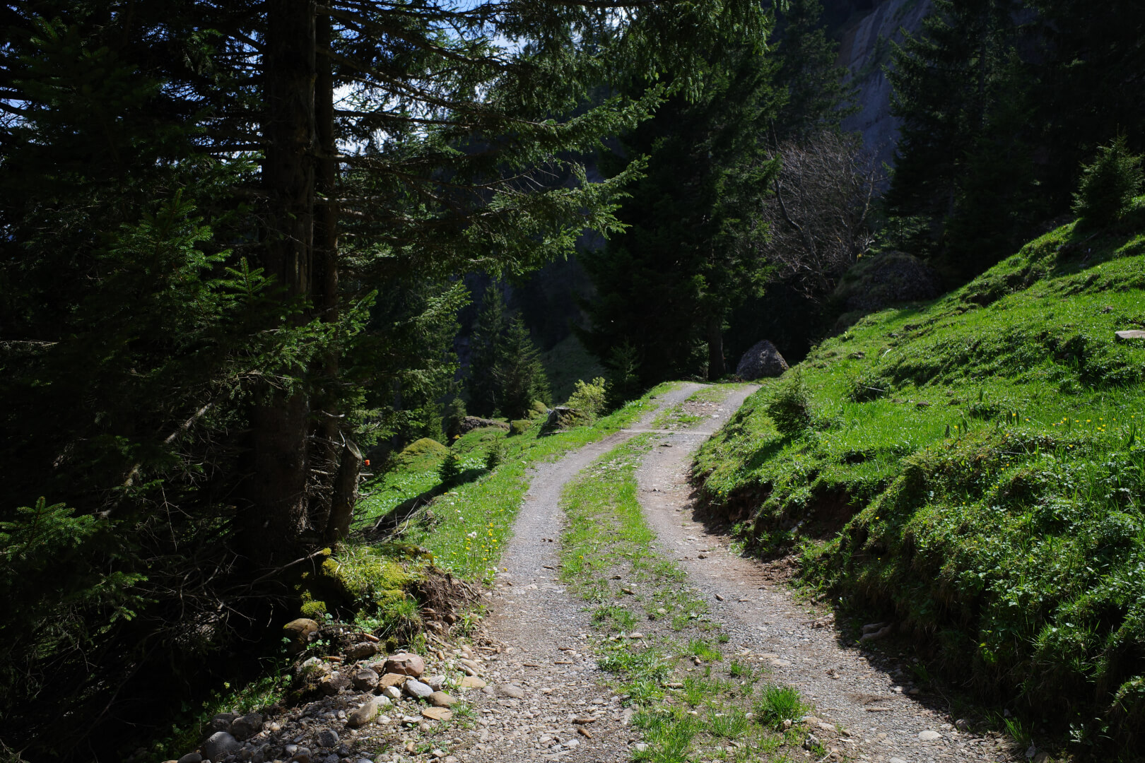 Alpweg Zingel