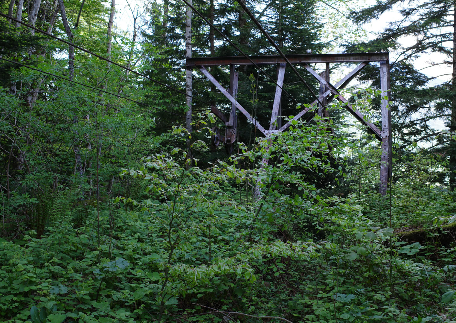 Alte Seilbahn Dächli