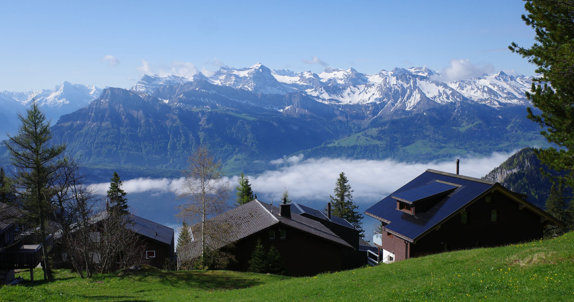 Blick zum Titlis