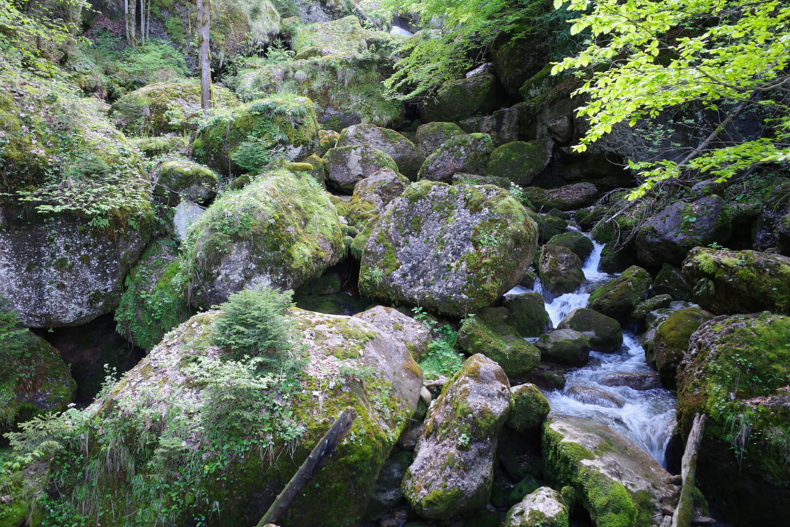 Felssturz mit Bach