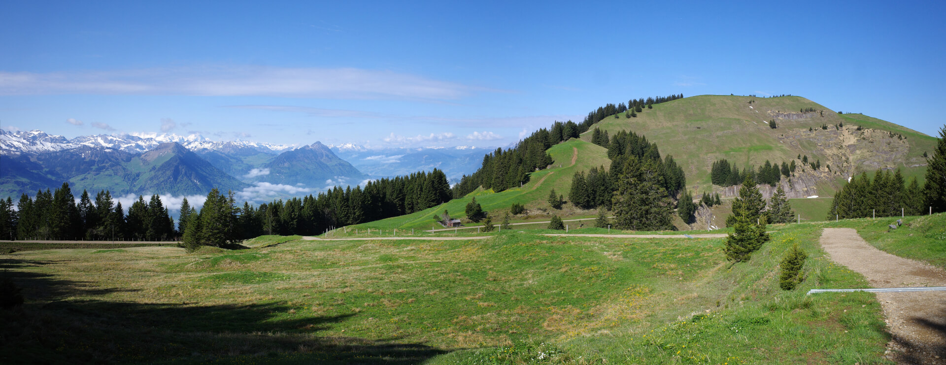 Rigi Dossen