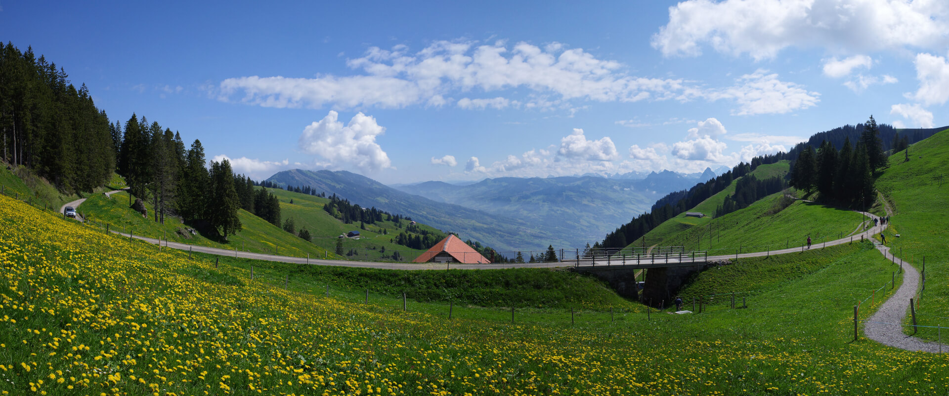 Scheideggstraße