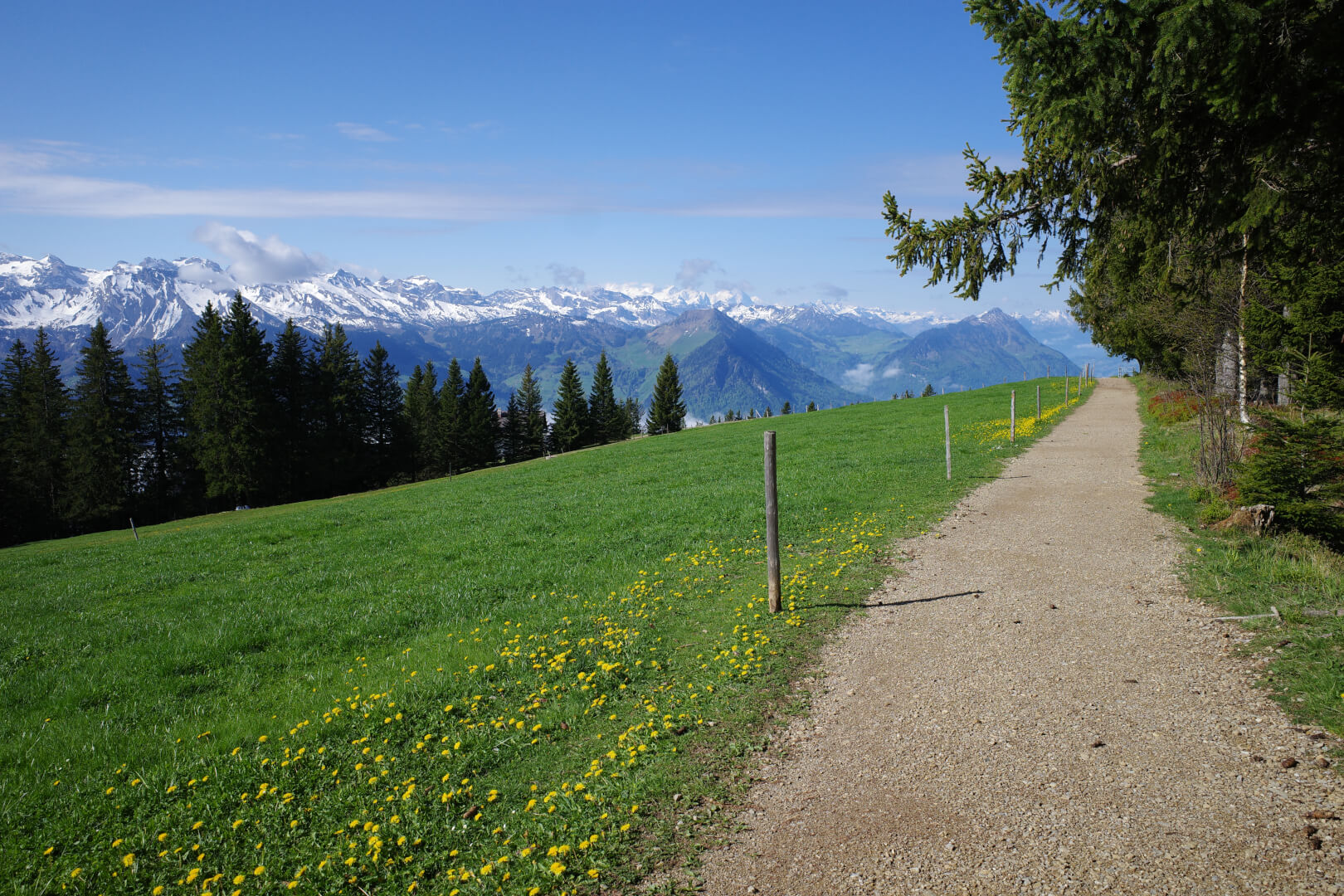 Spazierweg Rigi Scheidegg