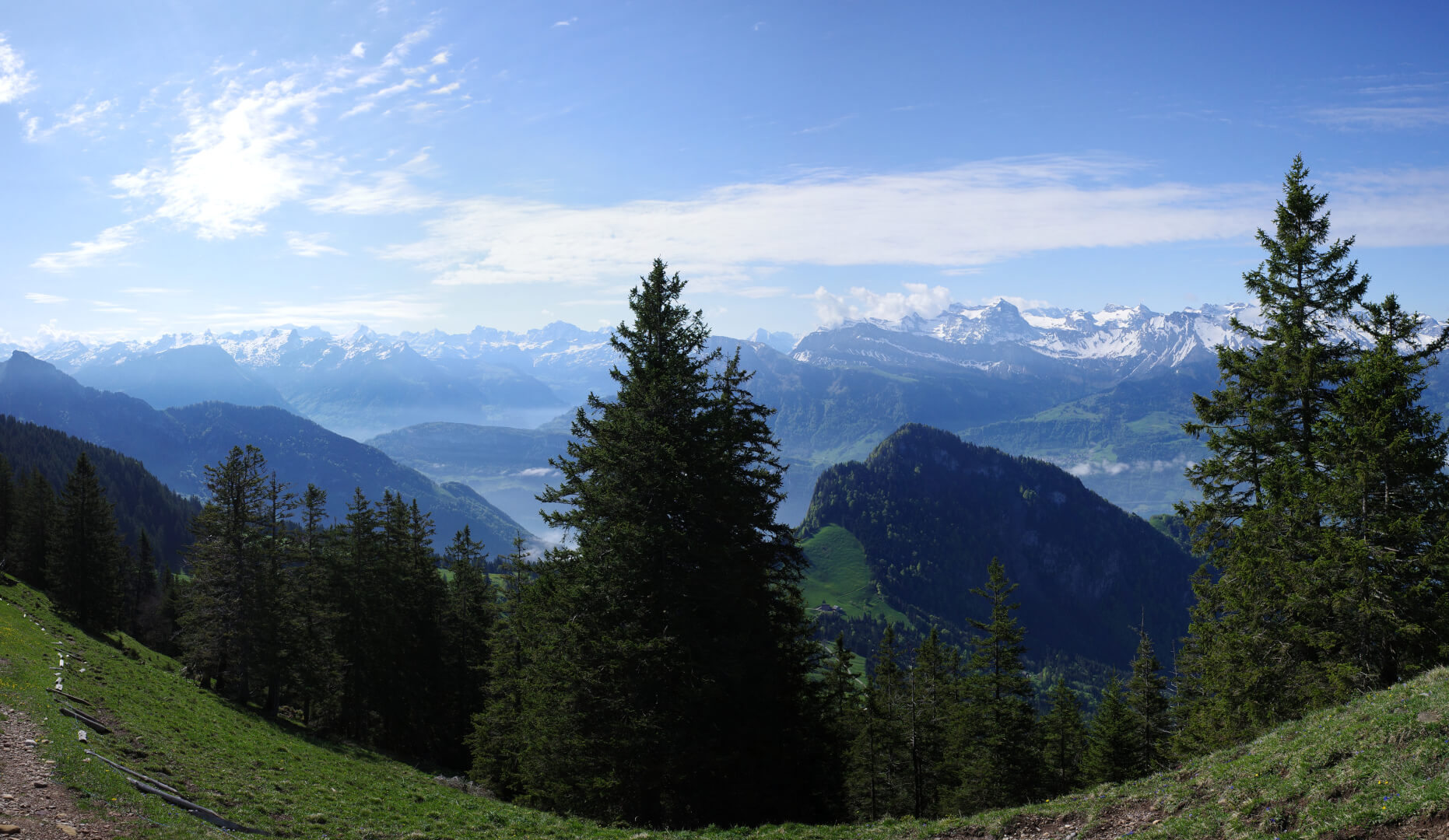 Vitznauerstock